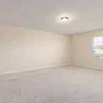 Flat Carpet Problems: Causes and How to Fix Them