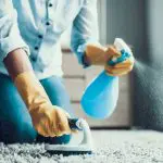 How to Get lily pollen out of carpet