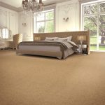 Pro Tips for Easy Carpet Maintenance: Simple Habits for Maximum Lifespan