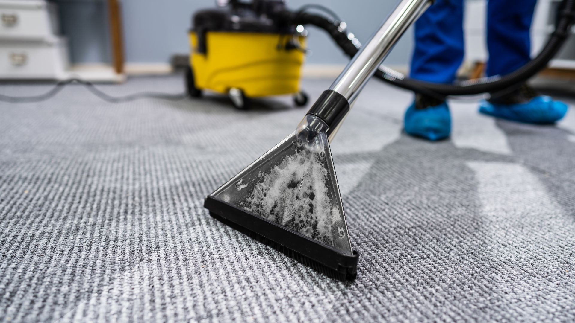 carpet cleaning