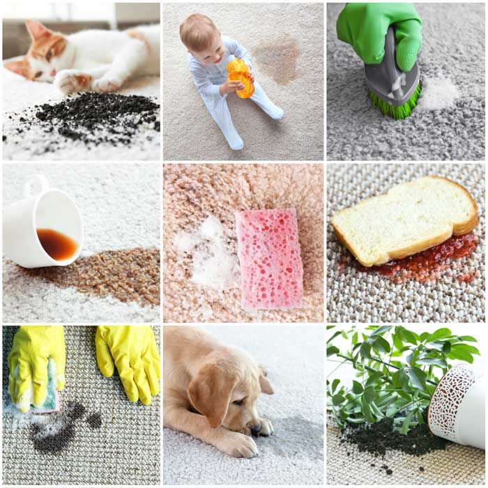 carpet cleaning collage bigstock purchase
