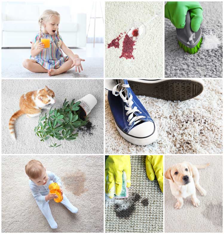 carpet cleaning stains foundation wine blood lipstick