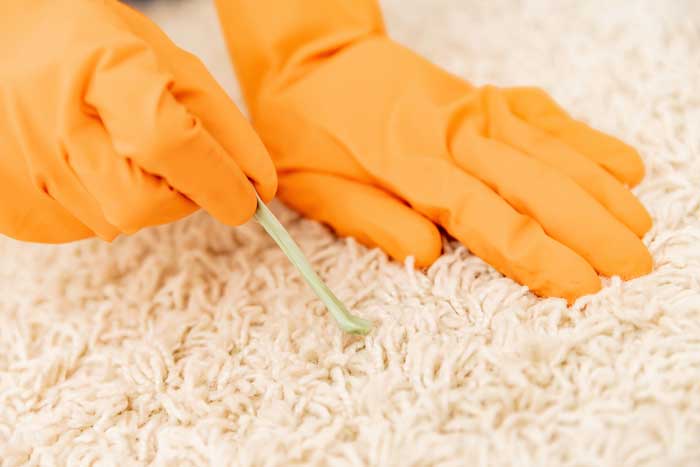 how to clean chewing gum out of carpet webexpand bigstockpurchase